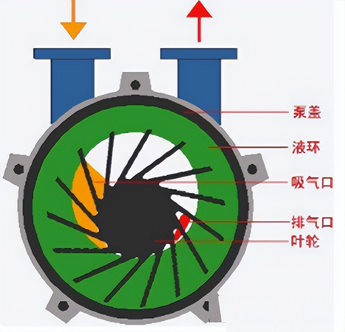 水环式真空泵工作原理